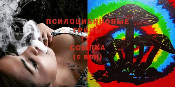 спиды Абаза