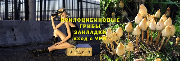 соль курить ск Алексеевка