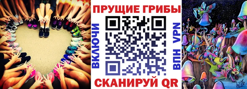 Псилоцибиновые грибы GOLDEN TEACHER Керчь