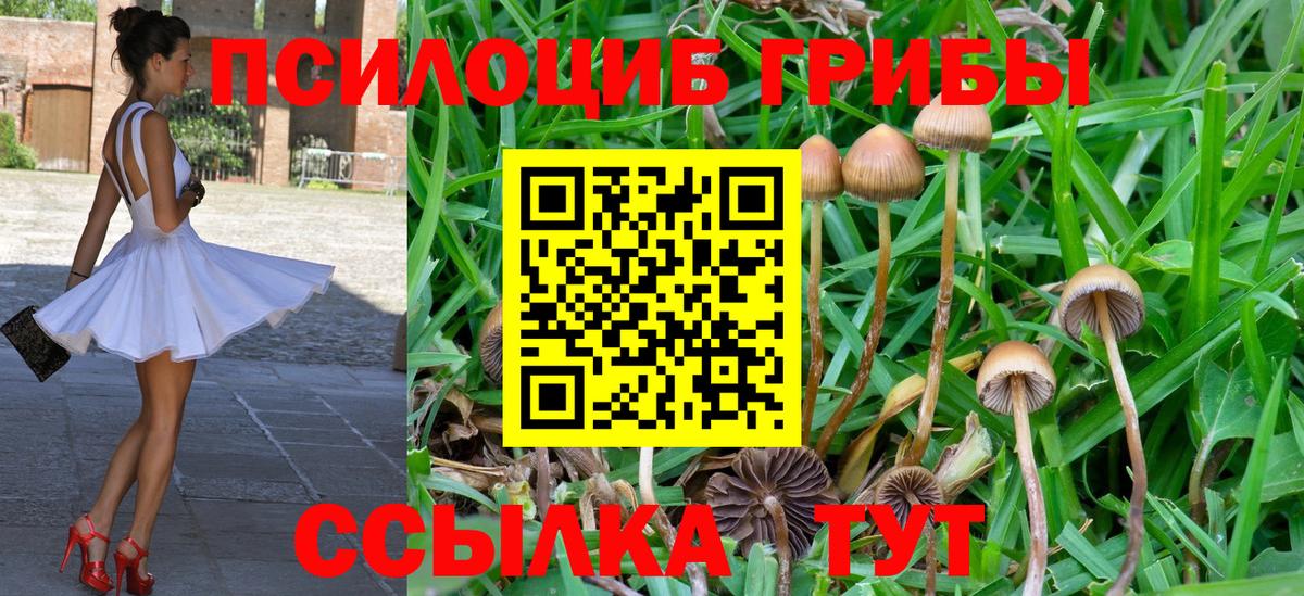 Псилоцибиновые грибы MAGIC MUSHROOMS Керчь